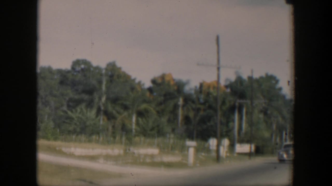 Roadside vegetation, utility pole, overhead lines, and a partial vehicle at the right edge.