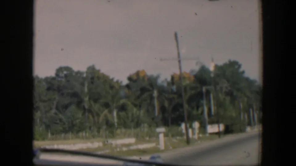 1951 Cuba roadside frame from a moving car, with tropical trees, a telephone pole, overhead wires, and the car hood visible below.
