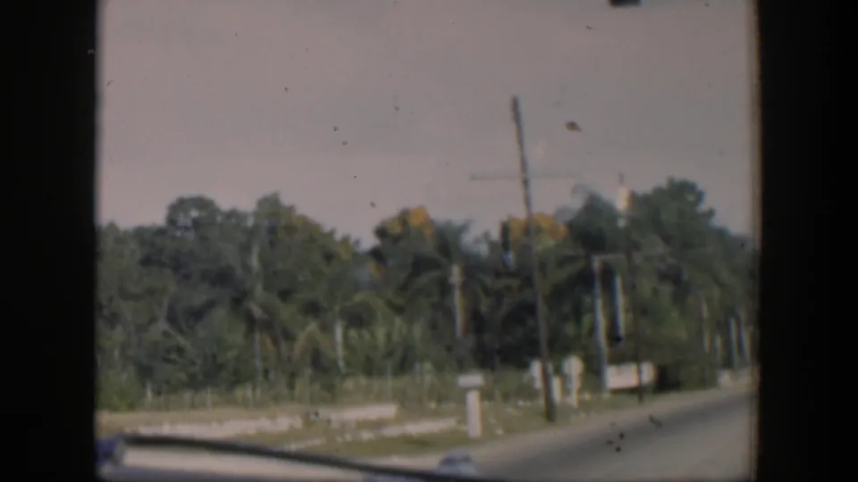 Soft 8mm frame of a Cuban roadside with palms, thick greenery, a telephone pole, wires, and the road edge in view.