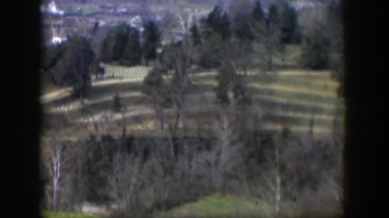 Aerial view of wooded slopes, open ground, and pale curving paths.