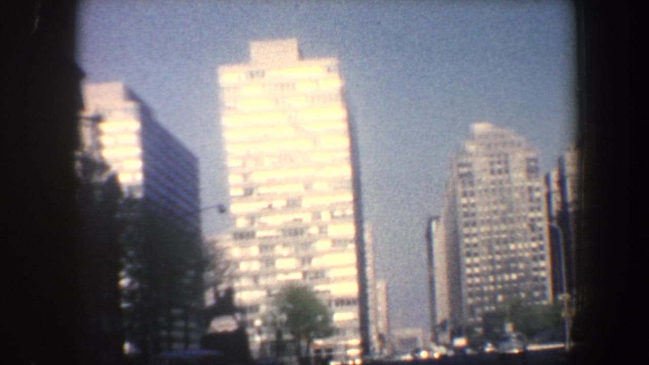 Sunlit high-rise buildings seen beyond dark street trees and film-frame edges.