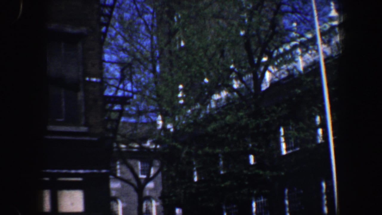 Dark brick buildings and trees with portions of a pale tower visible through branches.