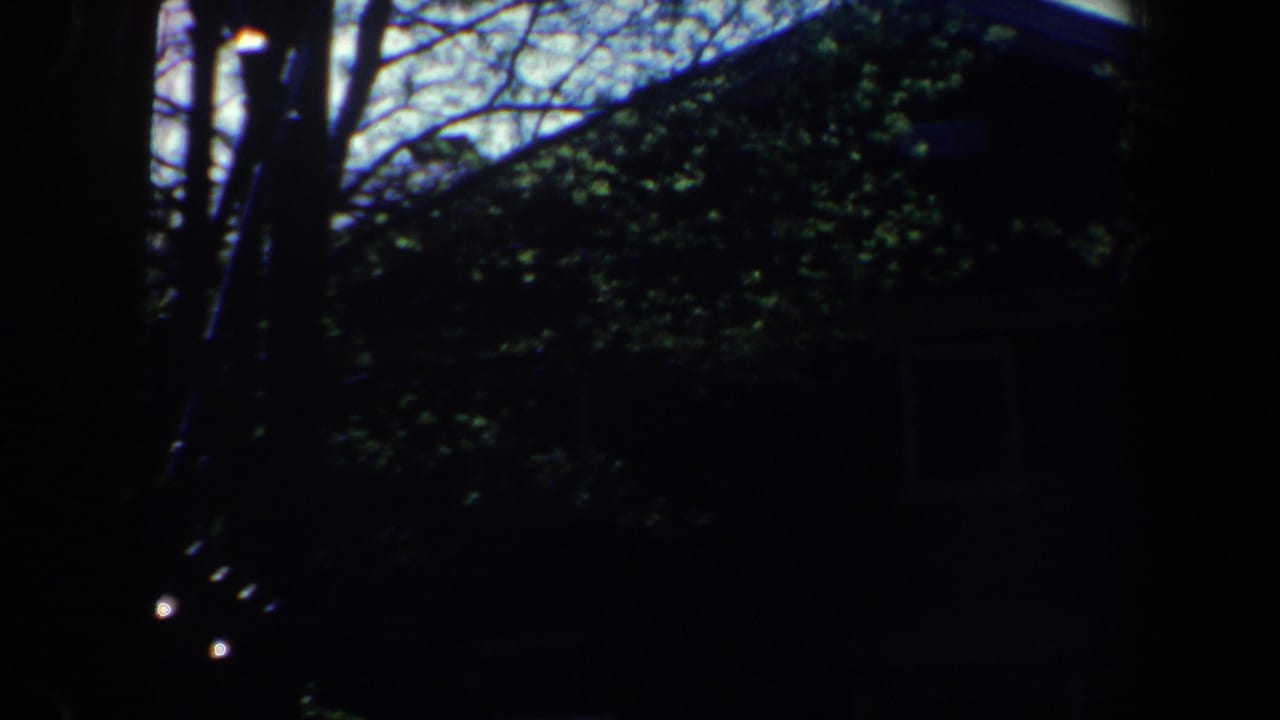 Dark shaded exterior of a house partly hidden by leafy trees.