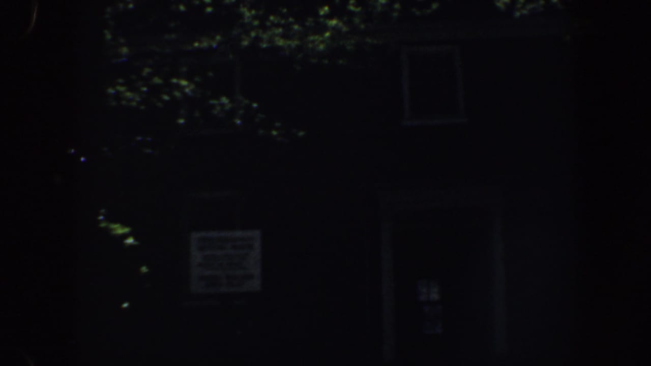 Dark house facade partly covered by tree branches and leaves.