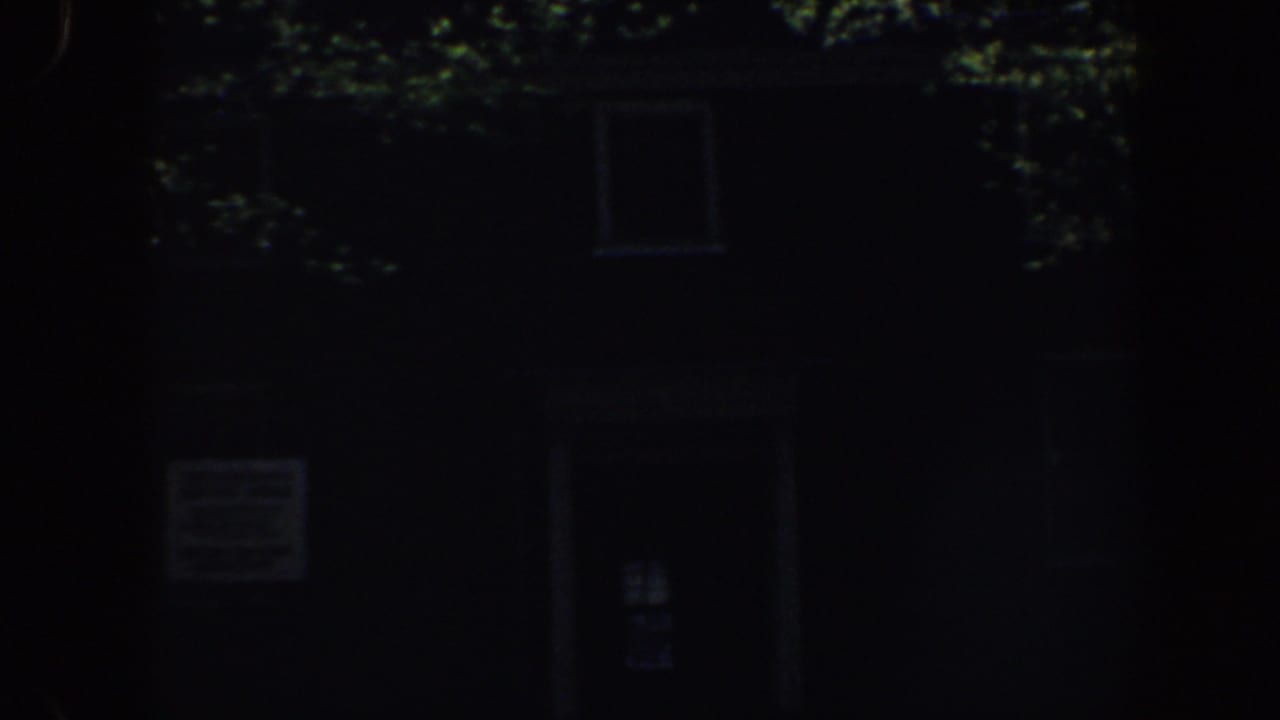 Dim building entrance and windows behind overhanging foliage.