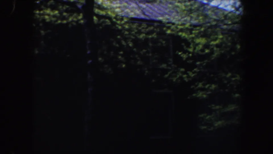 1962 Philadelphia frame with leafy branches, a partial roofline, and a dark house exterior.
