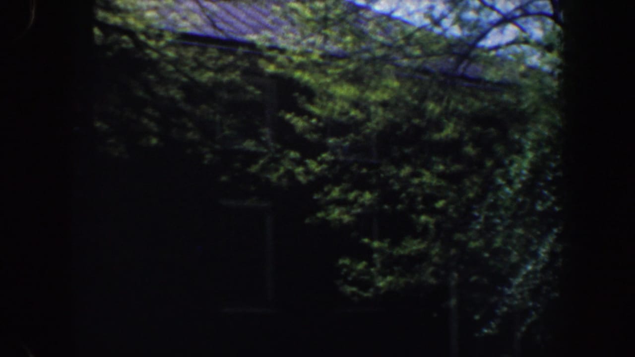 Shaded building facade partly hidden by dense green trees.
