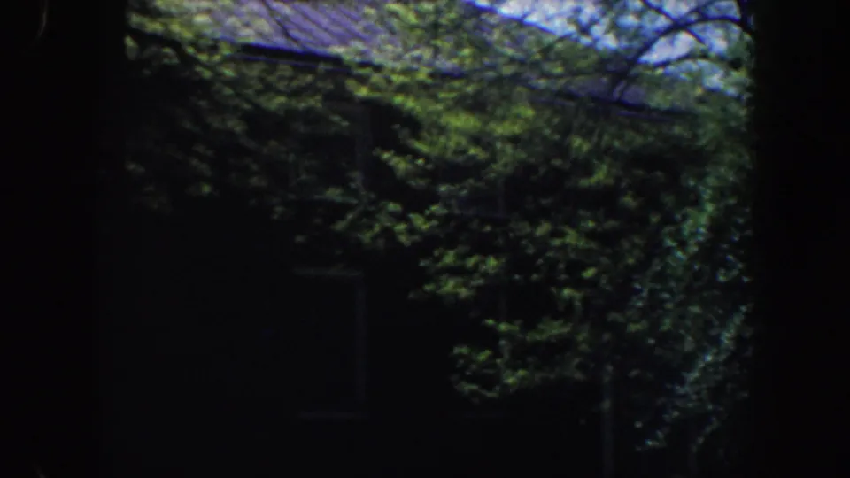 1962 Philadelphia home-movie frame showing a dark exterior and windows behind dense tree cover.