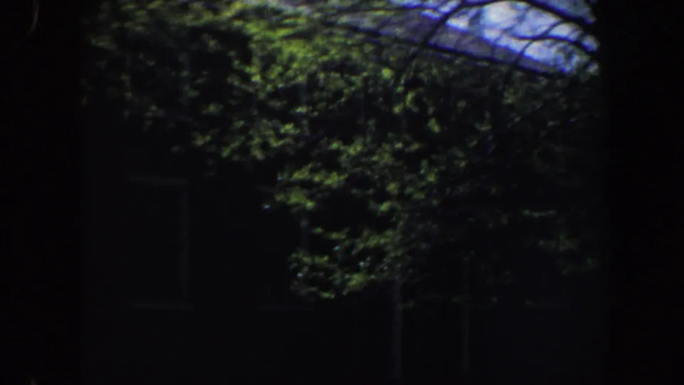 Shaded Philadelphia exterior framed by leafy branches, with windows barely visible through the darkness.