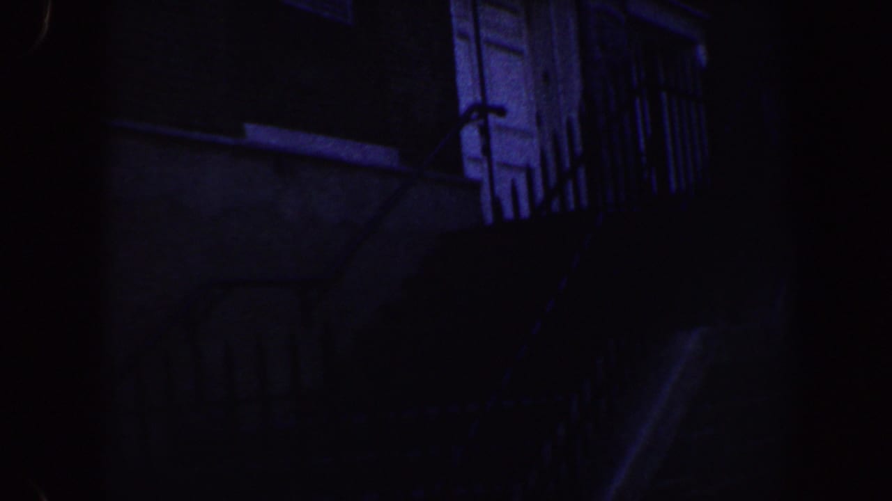 Dark brick facade with white door, barred windows, railings, and steps at night.