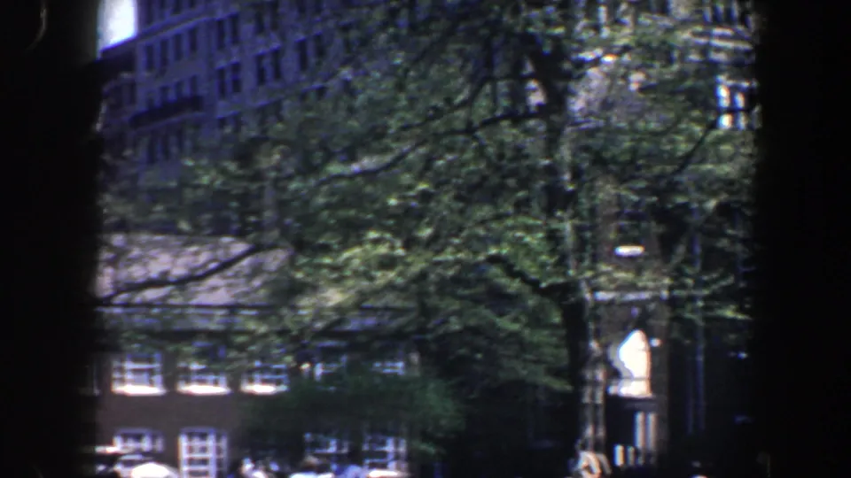 1962 Philadelphia exterior view with leafy street trees, brick facades, windows, and a traditional lamp post partly visible.