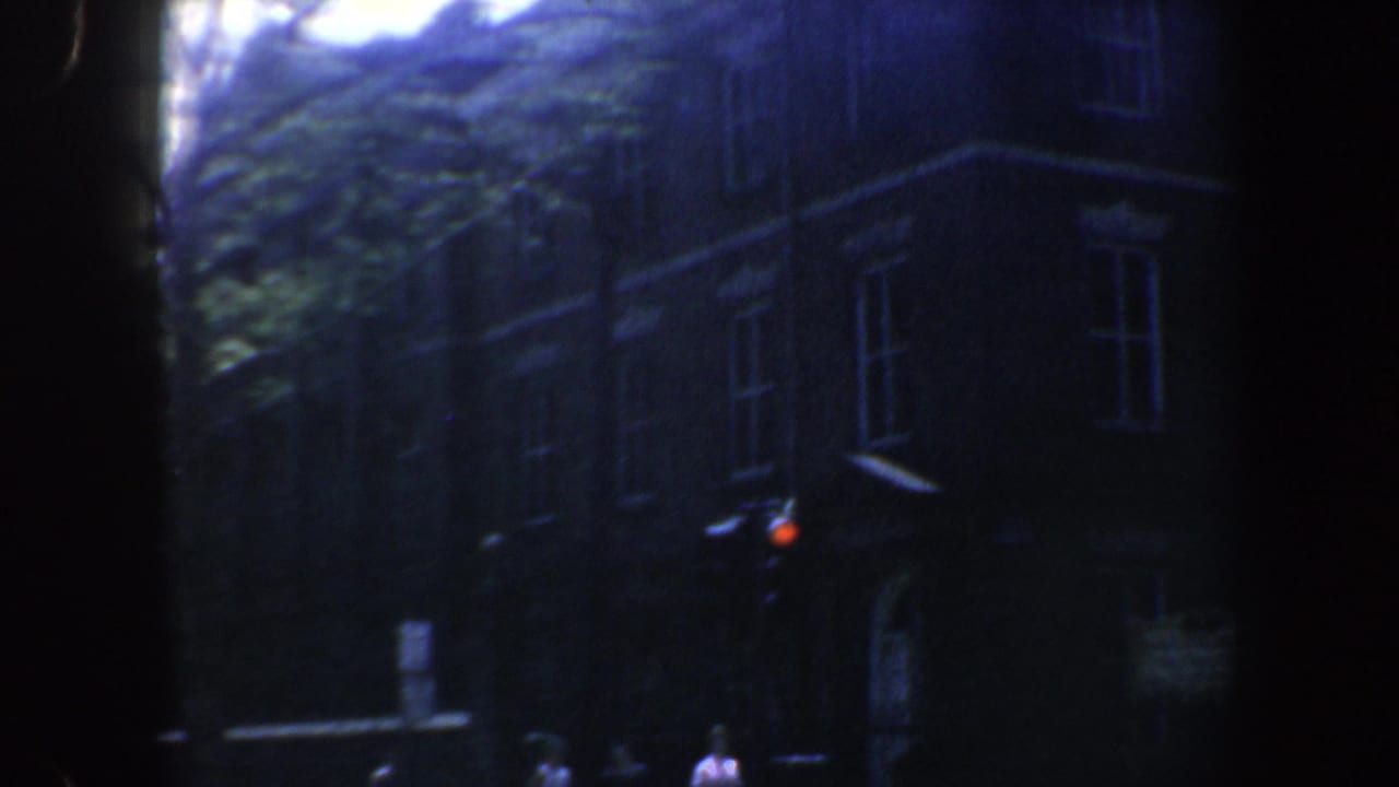 Brick building facade with windows, trees, and a red traffic light in a dim street view.