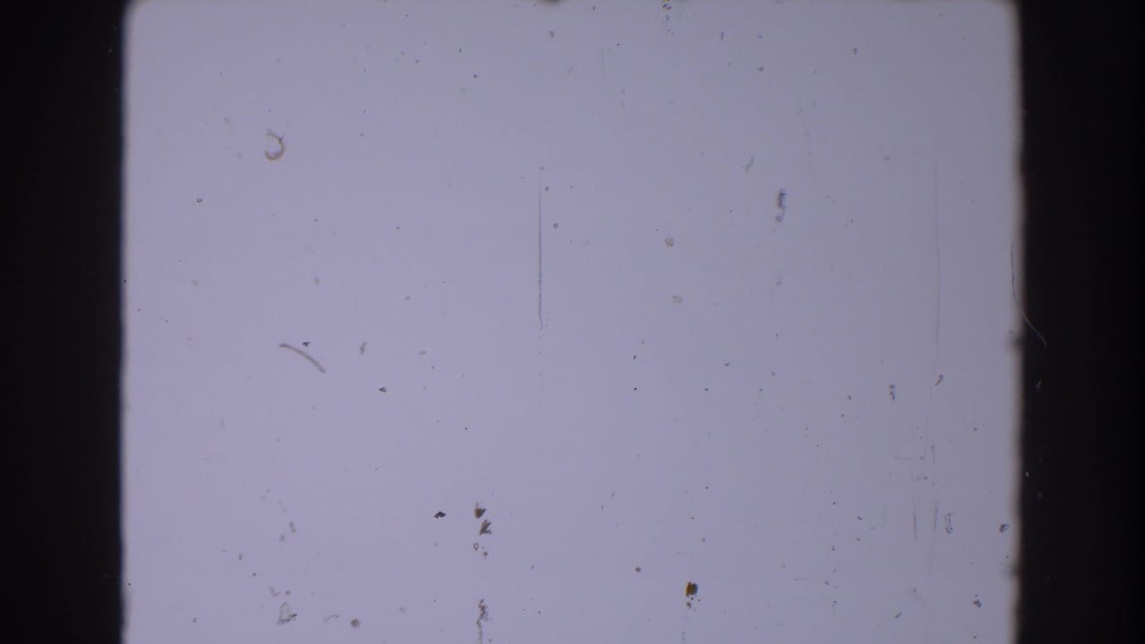 Pale blank 8mm frame with dark vertical borders, dust specks, scratches, and grain.
