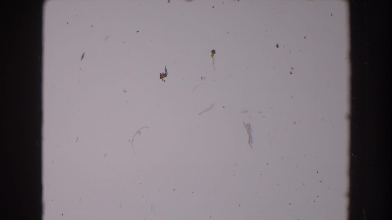 Pale blank 8mm film frame with dark borders, dust specks, and small scratches.