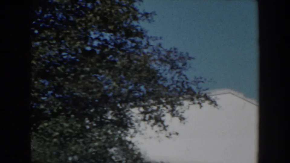 North Hollywood 1962 home-movie frame showing leafy branches, blue sky, and the edge of a pale residential-looking wall.