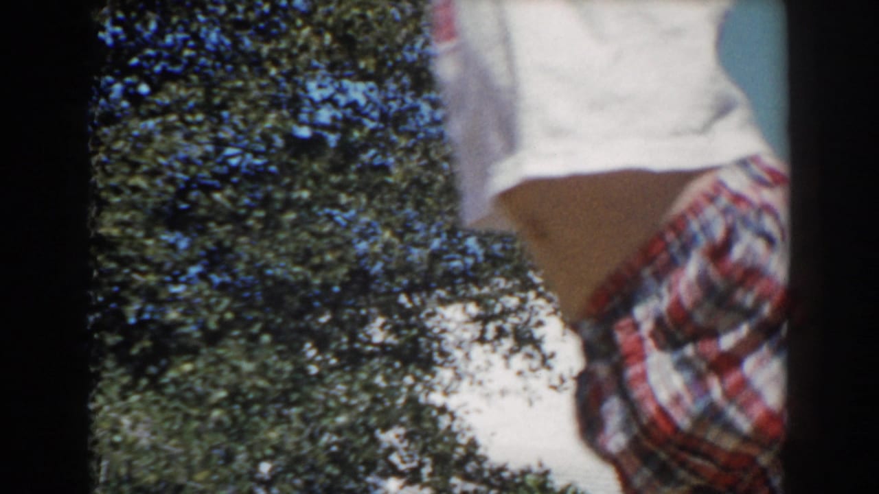 Partial view of a child in plaid shirt and white shorts beside tree branches.