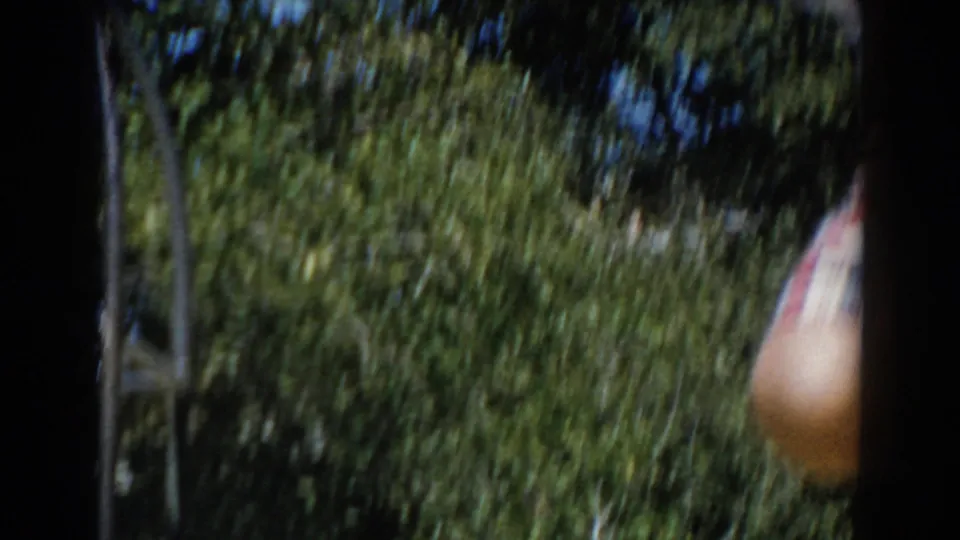 Soft, partially obscured 8mm frame from the North Hollywood clip showing trees and a sunlit yard through dark gate-edge shadows.