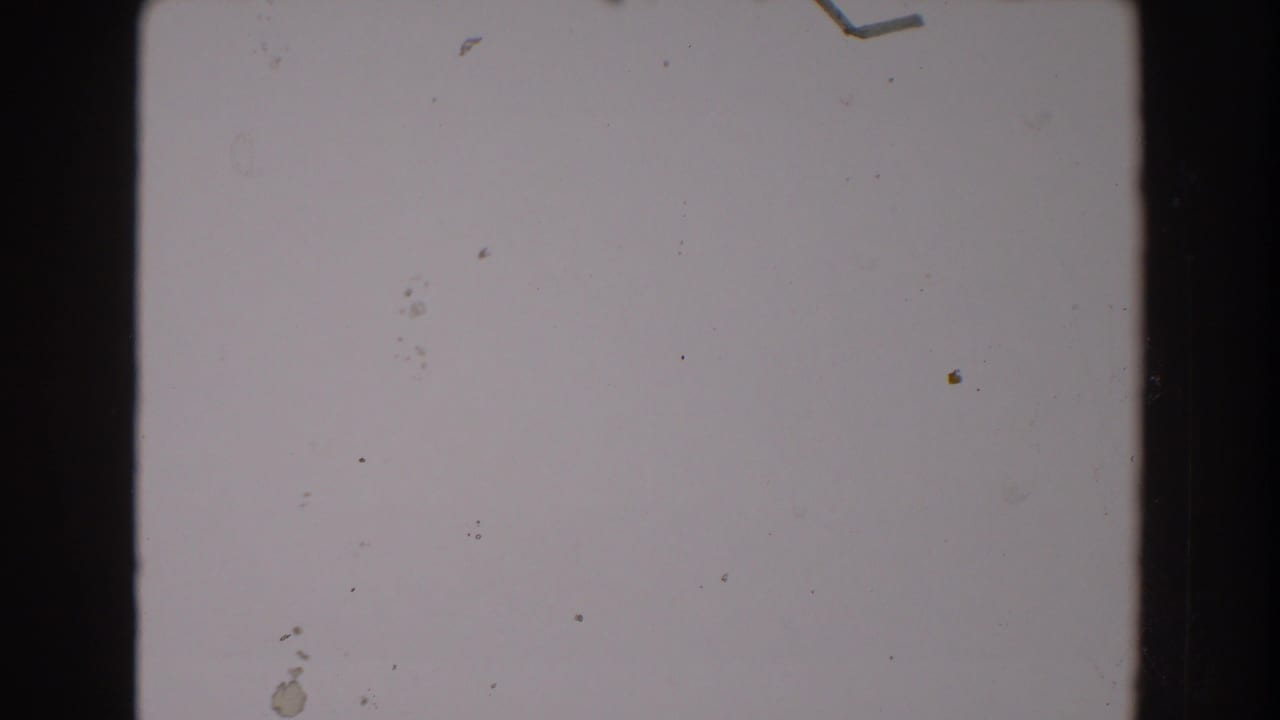 Light blank film frame divided by a dark vertical film edge with dust marks.