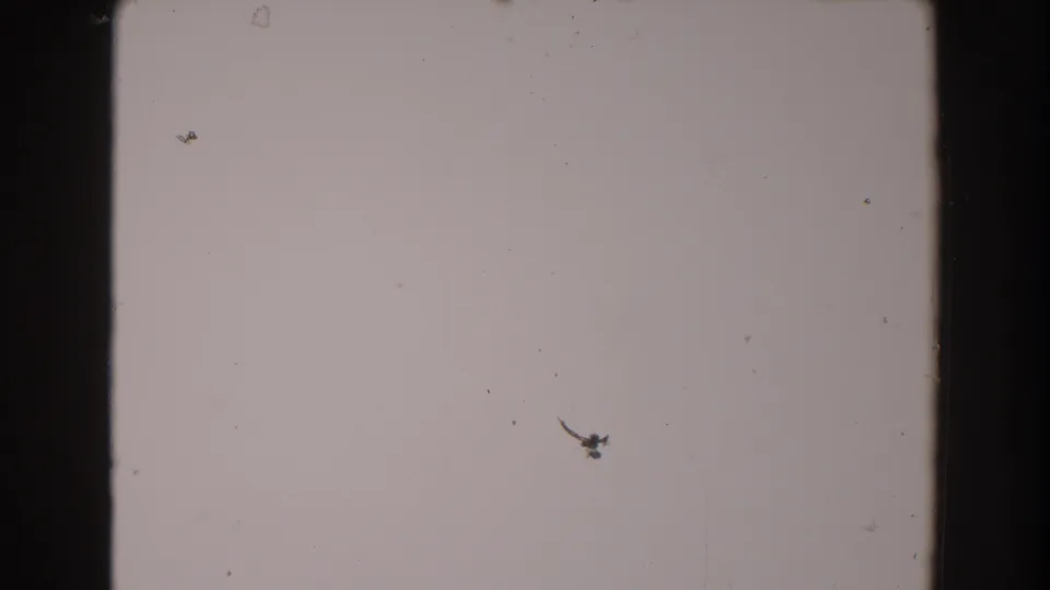 Blank North Hollywood 8mm home-movie frame showing pale film, dark borders, dust flecks, scratches, and a faint horizontal band.