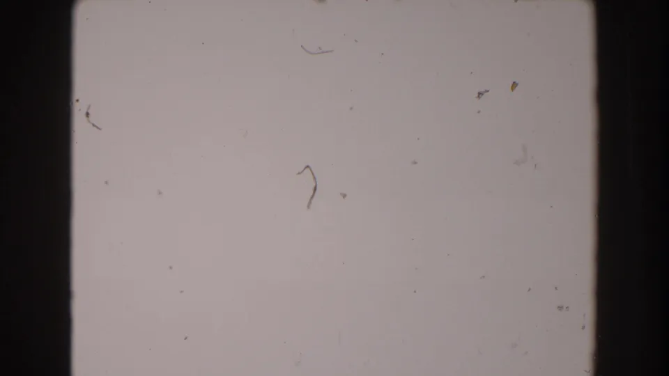 1962 North Hollywood 8mm frame with blank pale exposure, dark vertical edge, dust specks, scratches, and subtle surface marks.