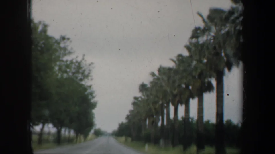 1957 8mm home-movie frame of a rural road near San Francisco, with palm trees along one side and soft overcast light.