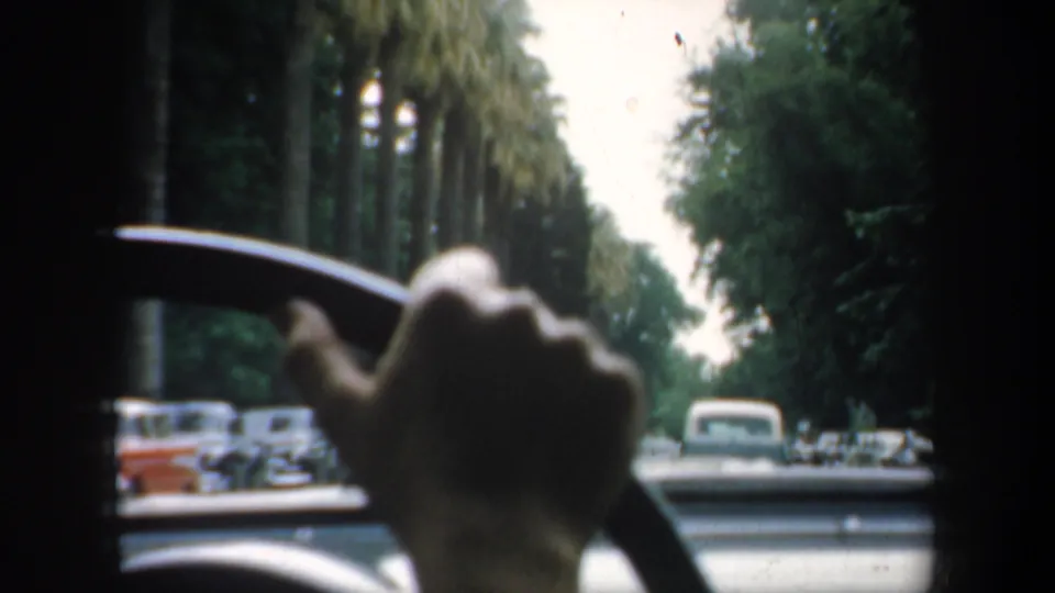 Interior vehicle view in supplied 1957 San Francisco footage, showing the driver's hand, steering wheel, cars ahead, parked automobiles, palms, and shaded greenery.