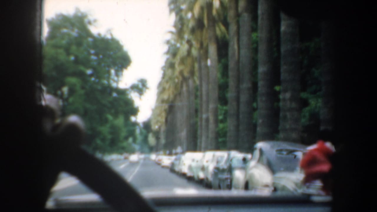 Windshield view of a road lined with parked cars and tall palm trees.