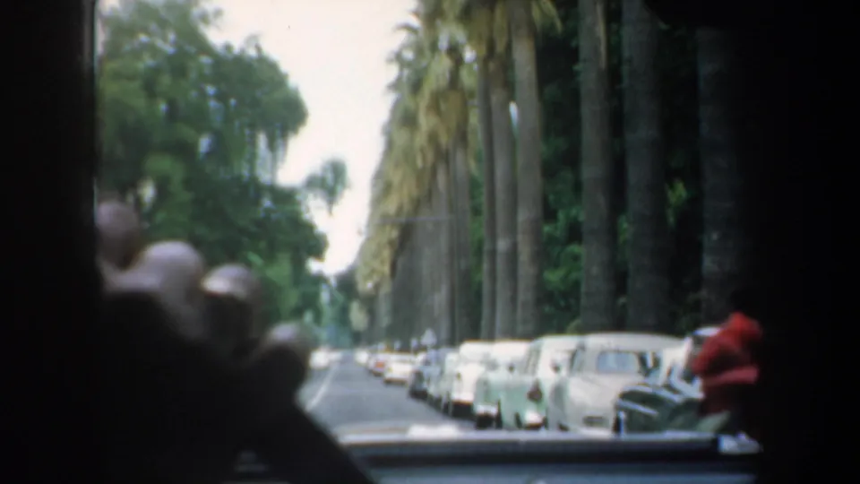 1957 San Francisco driving POV past parked cars, tall palms, and a person in red standing or moving near the right curb.