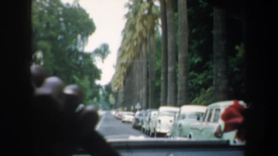 Final 1957 San Francisco windshield view showing parked cars, palms, shaded dashboard area, and a person in red near the right edge.