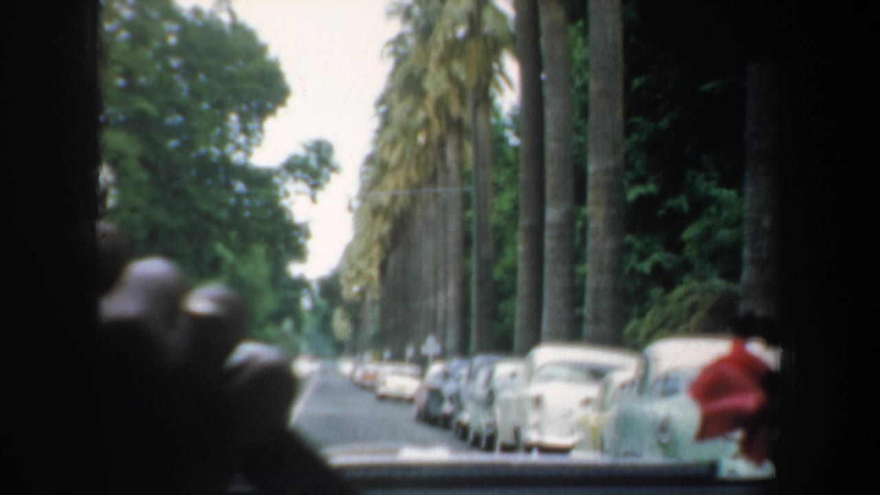 1957 California 8mm frame from inside a moving car, showing a palm-lined street, parked cars, and indistinct passengers or hands near the window.