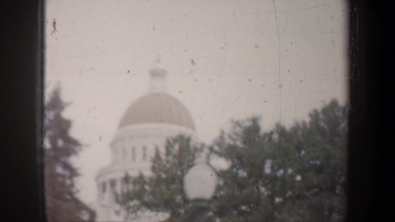 Soft distant view of a domed civic building behind trees and a lamp globe.