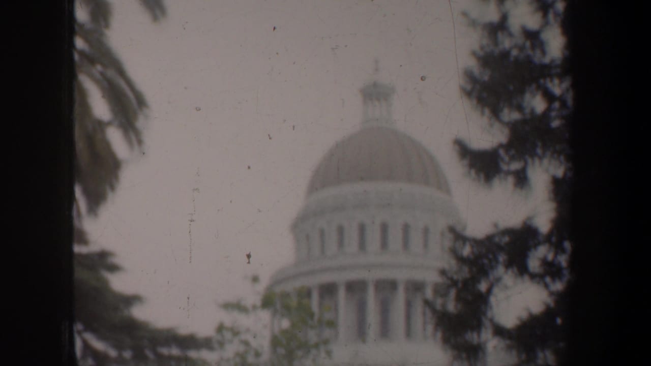 Domed civic building partly obscured by trees and dark foreground framing.