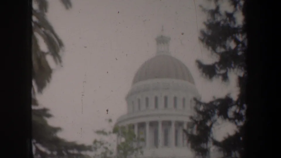 1957 8mm view of a domed capitol-style landmark partly framed by a dark vertical edge, palm fronds, and evergreen branches.