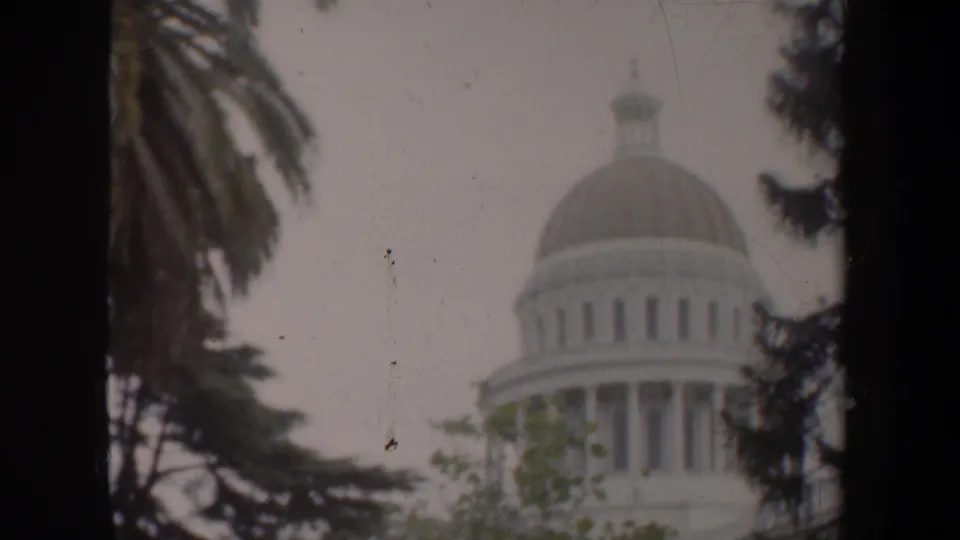 1957 8mm frame showing the dome and lantern of a capitol-style building, with palm fronds and trees crossing the foreground.