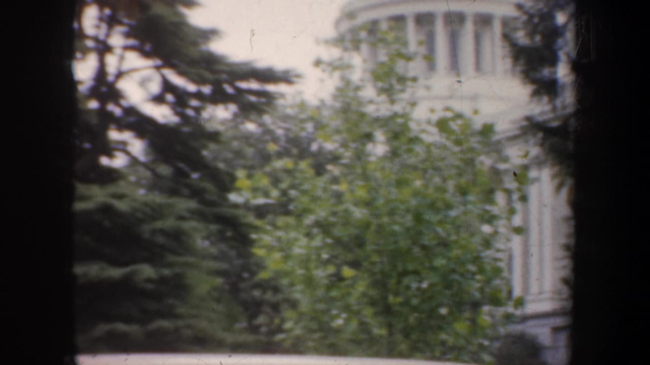 Capitol dome and columns seen behind green trees and dark frame edges.