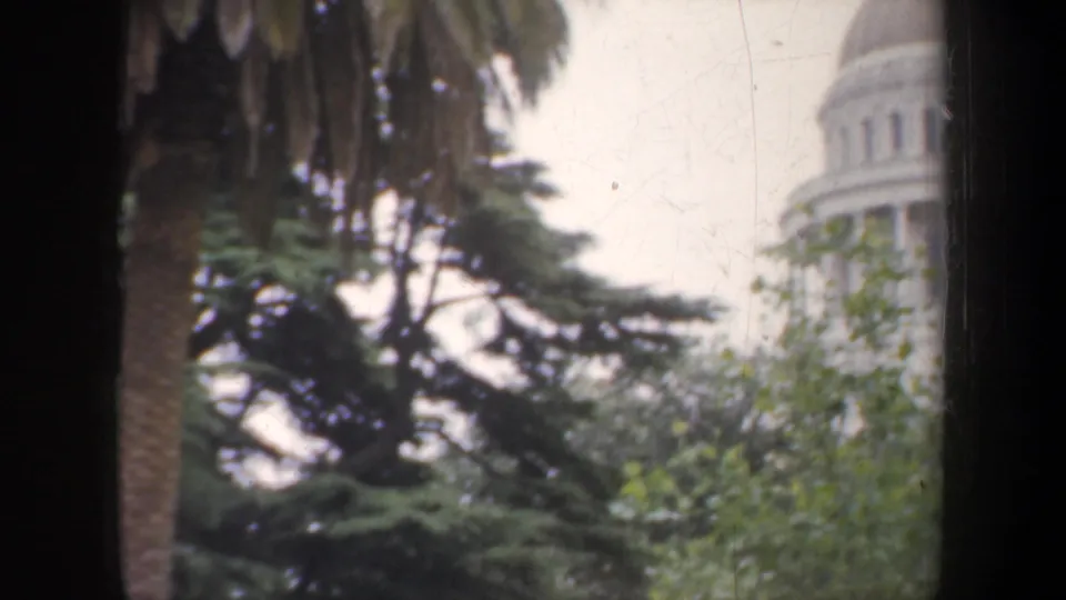 A visitor-shot 1957 view shows the Capitol dome peeking through palm and evergreen foliage.