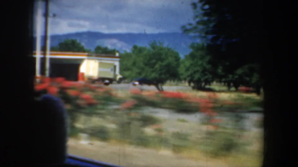 1957 California roadside view from a moving car, showing red flowers, trees, a low building, open grounds, and distant hills.