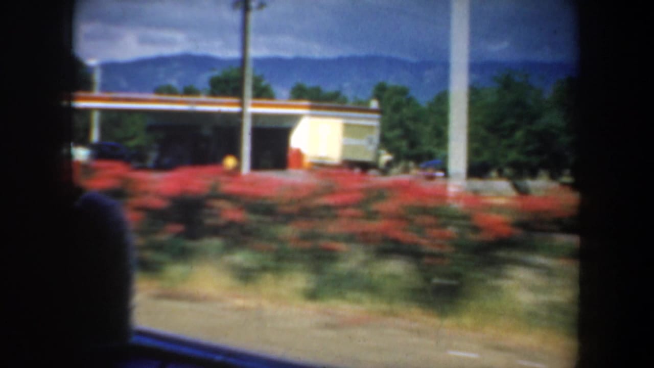 Roadside station canopy, red flowers, trees, and hills seen from a moving vehicle.