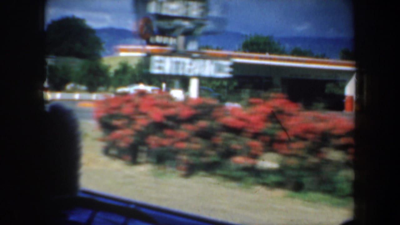 Roadside service-station sign, canopy, red flowers, trees, and parked cars.