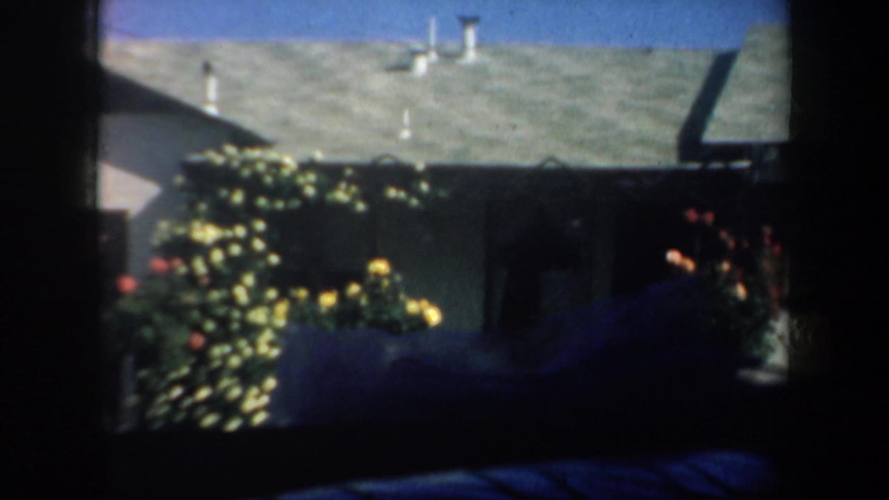 Similar vehicle-window view of a house roofline and bright garden flowers.