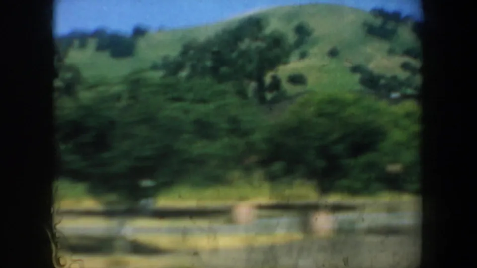 Soft 8mm frame of a green hillside, trees, and fencing in the San Francisco-area neighborhood sequence.