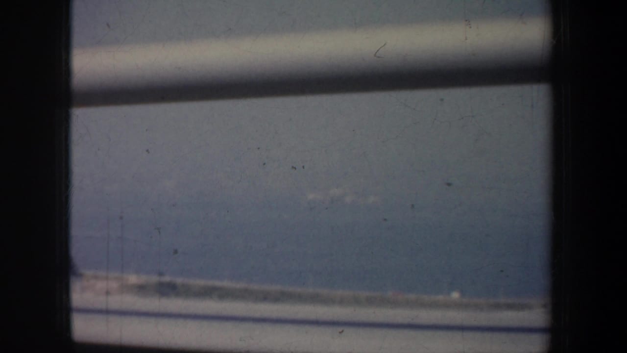 Dark window bars frame a blurred blue-gray shoreline and water beyond.