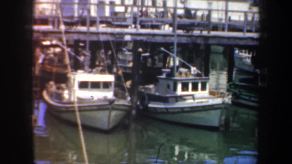 Small boats in a San Francisco marina appear tied at a wooden dock, with rigging lines, pilings and calm water visible.