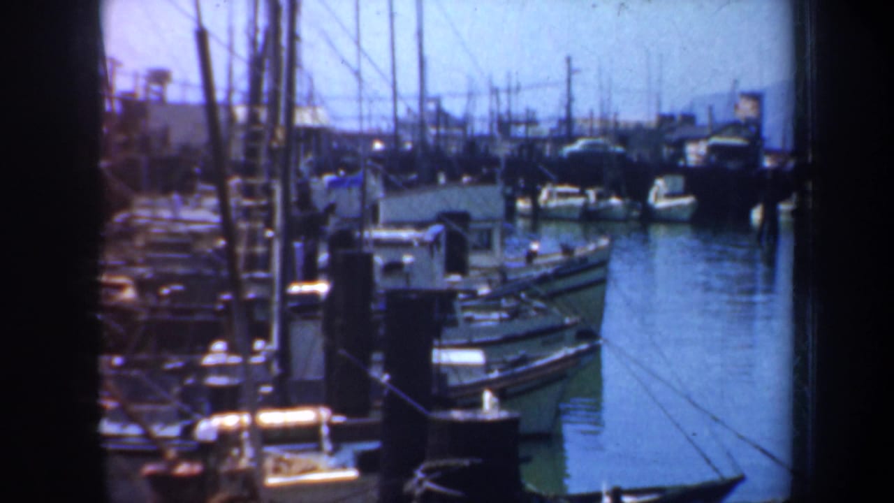 Moored boats and dock pilings viewed across calm harbor water.