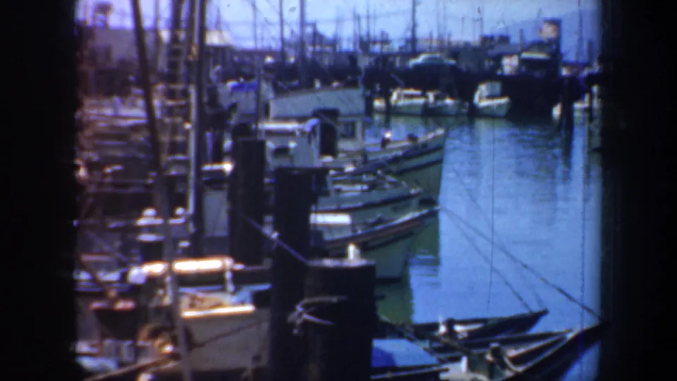 1957 San Francisco marina scene showing small boats, dock pilings, masts, and still blue harbor water.