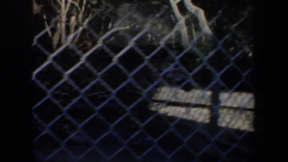 1957 San Francisco zoo footage appears to show an animal enclosure behind chain-link fencing in heavy shadow.