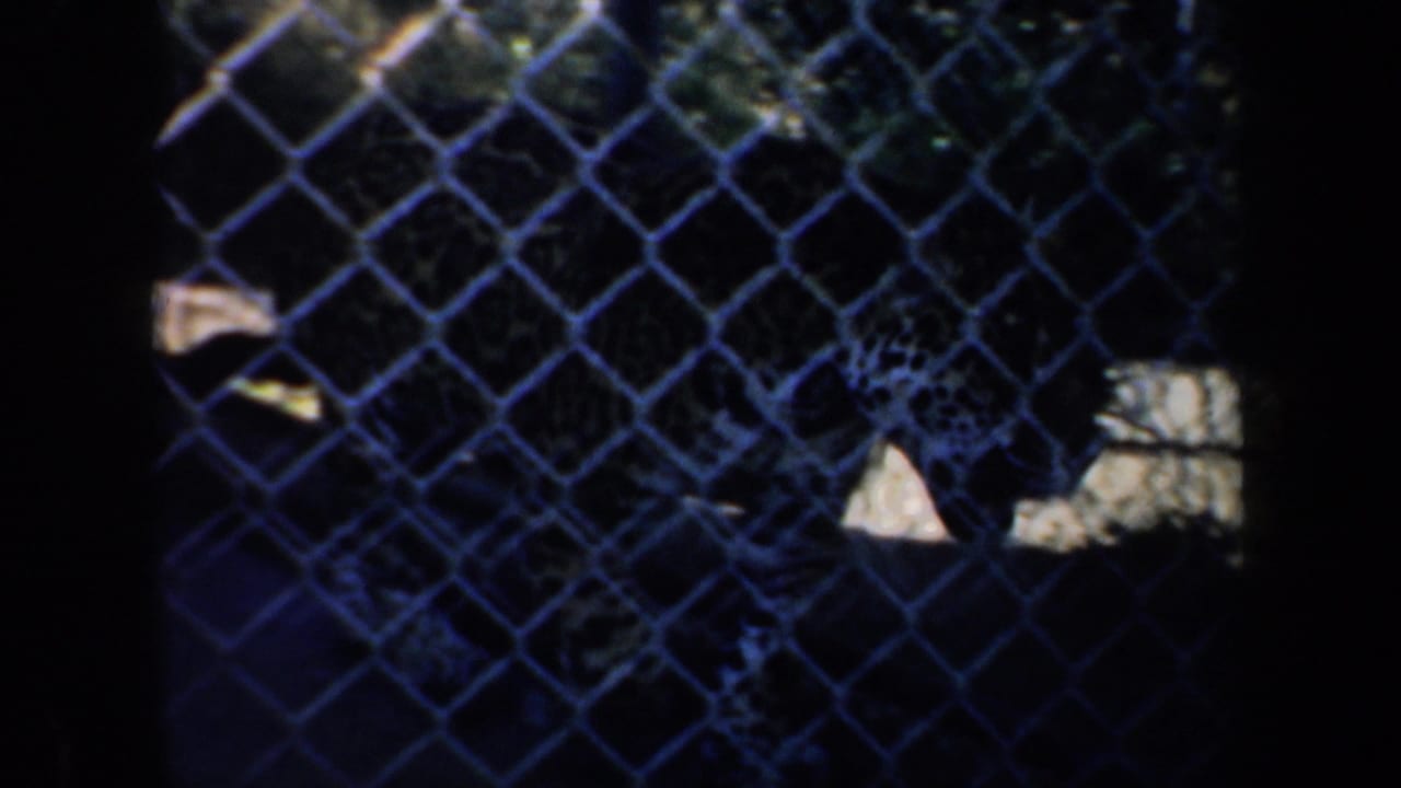 Spotted large feline behind chain-link fencing in a shadowed enclosure.
