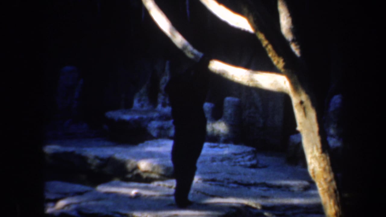 Dark panda standing in a rocky zoo enclosure behind a pale branch.