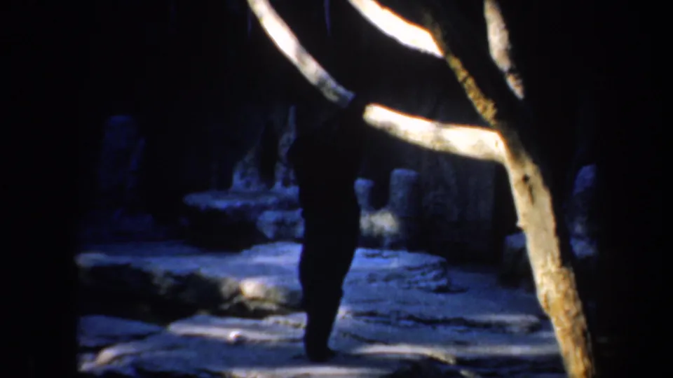 1957 San Francisco home-movie frame of a dark panda standing in a dim rocky zoo enclosure with a pale branch in front.