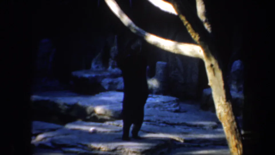1957 San Francisco zoo frame showing the panda partly silhouetted near rockwork, with a pale branch cutting through the foreground.